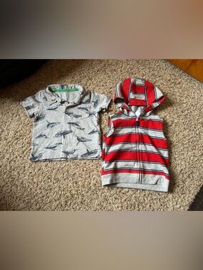 Gray Whale Print Polo Shirt and Red Striped Hooded Vest